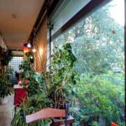 ヒメ日記 2025/07/30 14:22 投稿 レイコ 人妻生レンタル