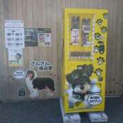 ヒメ日記 2025/08/02 14:40 投稿 レイコ 人妻生レンタル