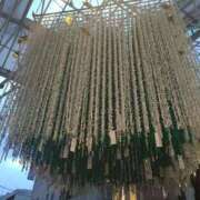 ヒメ日記 2025/08/08 23:20 投稿 レイコ 人妻生レンタル