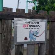 ヒメ日記 2025/08/09 13:42 投稿 レイコ 人妻生レンタル