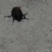 ヒメ日記 2025/08/12 09:26 投稿 レイコ 人妻生レンタル