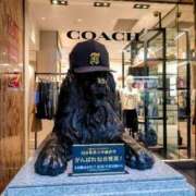 ヒメ日記 2025/08/18 14:30 投稿 レイコ 人妻生レンタル