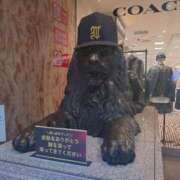 ヒメ日記 2025/08/18 18:59 投稿 レイコ 人妻生レンタル