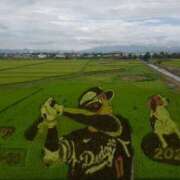 ヒメ日記 2025/08/22 10:29 投稿 レイコ 人妻生レンタル