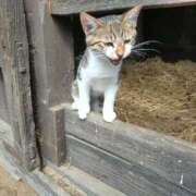 ヒメ日記 2025/08/28 14:35 投稿 レイコ 人妻生レンタル