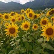 ヒメ日記 2025/09/10 13:04 投稿 レイコ 人妻生レンタル