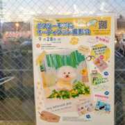 ヒメ日記 2025/09/18 16:00 投稿 レイコ 人妻生レンタル