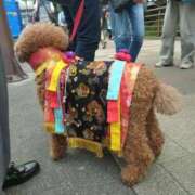 ヒメ日記 2025/09/23 14:30 投稿 レイコ 人妻生レンタル