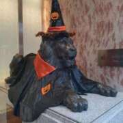 ヒメ日記 2025/10/07 12:50 投稿 レイコ 人妻生レンタル