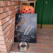 ヒメ日記 2025/10/19 17:38 投稿 レイコ 人妻生レンタル