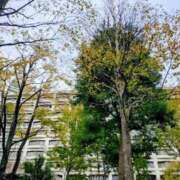 ヒメ日記 2025/10/22 11:50 投稿 レイコ 人妻生レンタル