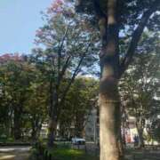 ヒメ日記 2025/11/01 21:30 投稿 レイコ 人妻生レンタル