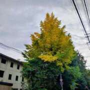 ヒメ日記 2025/11/02 20:30 投稿 レイコ 人妻生レンタル