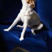 ヒメ日記 2025/11/03 10:20 投稿 レイコ 人妻生レンタル