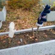 ヒメ日記 2025/12/24 11:50 投稿 レイコ 人妻生レンタル