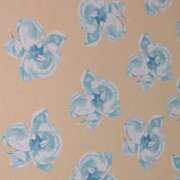 ヒメ日記 2025/03/10 04:00 投稿 タエ 人妻生レンタル