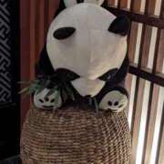 ヒメ日記 2025/03/28 04:20 投稿 タエ 人妻生レンタル