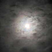 ヒメ日記 2025/04/10 21:20 投稿 タエ 人妻生レンタル