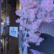 ヒメ日記 2025/04/11 06:20 投稿 タエ 人妻生レンタル