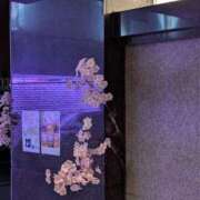 ヒメ日記 2025/04/19 00:20 投稿 タエ 人妻生レンタル