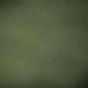 ヒメ日記 2025/05/09 21:20 投稿 タエ 人妻生レンタル