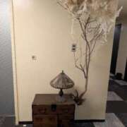 ヒメ日記 2025/05/24 05:10 投稿 タエ 人妻生レンタル