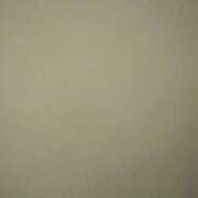 ヒメ日記 2025/05/24 21:20 投稿 タエ 人妻生レンタル