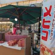 ヒメ日記 2025/05/29 14:31 投稿 タエ 人妻生レンタル