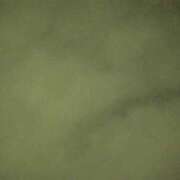 ヒメ日記 2025/05/30 21:20 投稿 タエ 人妻生レンタル