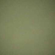 ヒメ日記 2025/05/31 21:20 投稿 タエ 人妻生レンタル