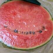 ヒメ日記 2025/06/06 15:59 投稿 タエ 人妻生レンタル