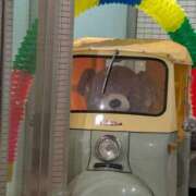 ヒメ日記 2025/06/10 03:10 投稿 タエ 人妻生レンタル