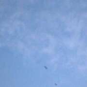 ヒメ日記 2025/06/12 04:10 投稿 タエ 人妻生レンタル