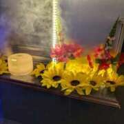 ヒメ日記 2025/06/12 07:14 投稿 タエ 人妻生レンタル