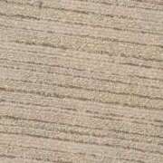 ヒメ日記 2025/06/14 02:40 投稿 タエ 人妻生レンタル