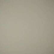 ヒメ日記 2025/06/20 21:20 投稿 タエ 人妻生レンタル