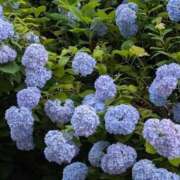 ヒメ日記 2025/06/28 19:24 投稿 タエ 人妻生レンタル