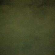 ヒメ日記 2025/07/01 21:20 投稿 タエ 人妻生レンタル