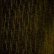 ヒメ日記 2025/07/03 04:40 投稿 タエ 人妻生レンタル