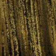 ヒメ日記 2025/07/08 04:50 投稿 タエ 人妻生レンタル