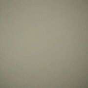 ヒメ日記 2025/07/11 22:20 投稿 タエ 人妻生レンタル