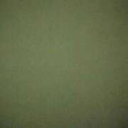 ヒメ日記 2025/07/14 02:40 投稿 タエ 人妻生レンタル