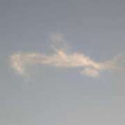 ヒメ日記 2025/07/29 05:00 投稿 タエ 人妻生レンタル