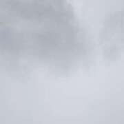 ヒメ日記 2025/08/01 12:31 投稿 タエ 人妻生レンタル