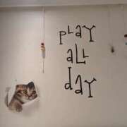 ヒメ日記 2025/08/12 05:00 投稿 タエ 人妻生レンタル