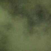 ヒメ日記 2025/08/31 20:20 投稿 タエ 人妻生レンタル