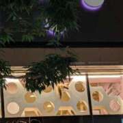 ヒメ日記 2025/09/11 20:10 投稿 タエ 人妻生レンタル