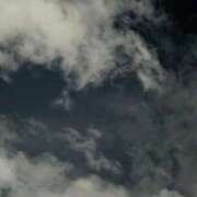 ヒメ日記 2025/09/21 04:00 投稿 タエ 人妻生レンタル