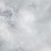 ヒメ日記 2025/09/25 13:10 投稿 タエ 人妻生レンタル