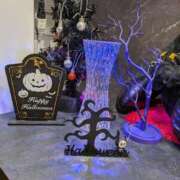 ヒメ日記 2025/10/05 14:20 投稿 タエ 人妻生レンタル